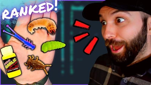 RANKING The BEST Fishing Baits AND Attractants... For SCIENCE!