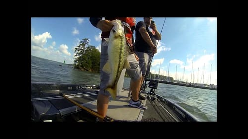 Huge Bass on Lake Lanier!