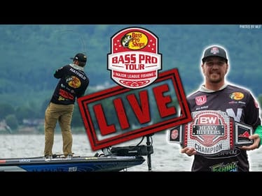 Post Spawn Bass Fishing Strategies - Carolina Rig, Free Rig & Lipless Crankbait