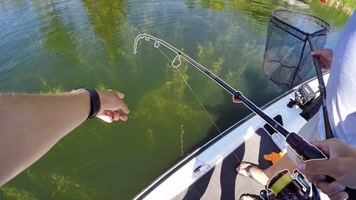 Big Bass STUCK in Heavy Grass!