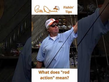 Should rod action inform your choice in fishing rod?