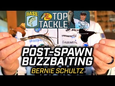 Trust a BUZZBAIT in the post-spawn