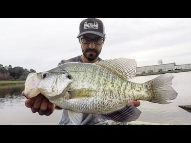 I FOUND some MONSTER PRESPAWN CRAPPIE!