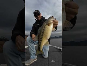 Merry Christmas, fishing family! 🎣 The JigMas Challenge is live!! #bassunion #bassunionjigs