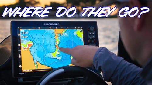 Where Do Bass Go During The Fall Transition? (And How To Catch Them)