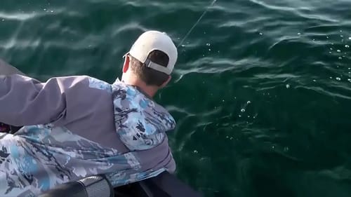 2020 Bassmaster LIVE at St. Lawrence River - Day 3 Saturday