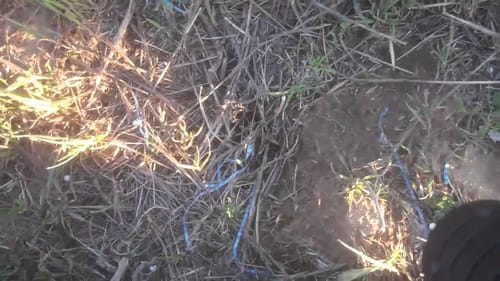 found him while playing airsoft