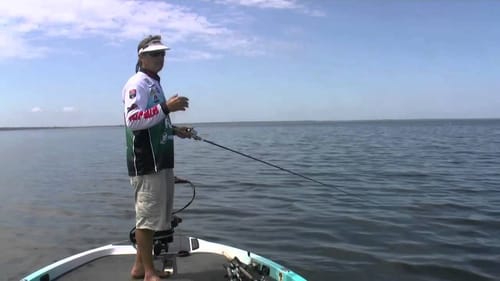 Choosing Topwater Baits
