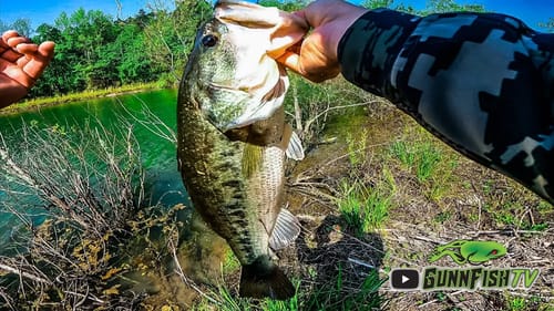 I CAUGHT The BIGGEST BASS Ever Out of This POND!! // Spawning Bass