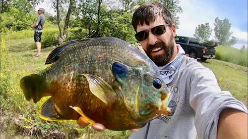 This BLUEGILL IS 1 in a MILLION!! (INSANE)