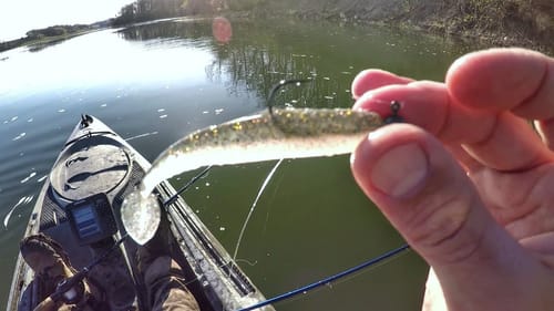 I Couldn't Keep The Fish Off My Hook!