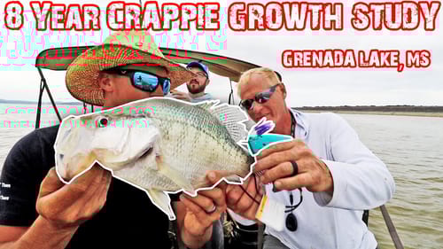 HOW FAST DO CRAPPIE GROW?!? 8-YEAR STUDY ON GRENADA LAKE, MS