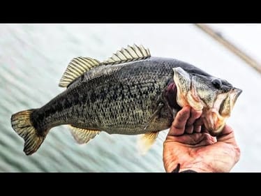 Catching BASS In COLD Weather. Will Spring Ever Get Here??