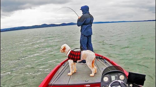 Bass Fishing LAKE GUNTERSVILLE! Winter/Early Spring Conditions