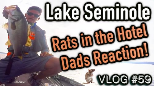 Dads Reaction to Rats in the Hotel ! ~ Lake Seminole - Vlog #59
