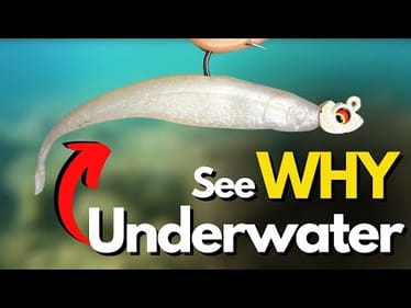 2 Jig Minnow Retrieves That Will CHANGE Your Fishing Game!