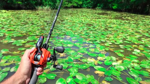 RECORD Day of FROG Fishing - LOADED w/ GIANT Bass