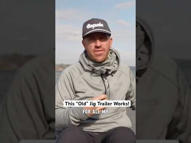 THIS Bait Catches WINTER Bass! 🛎️