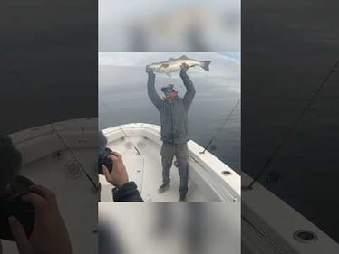 🛥️SOMEBODY has to CONVINCE my WIFE!😬😘