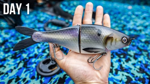 Catching GIANTS!! EPIC Glide Bait Fishing During Jon Boat Tournament CLASSIC