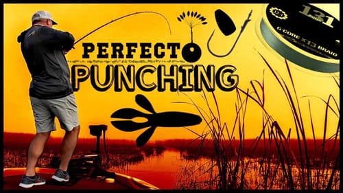 Randall Tharp's Perfected Punching Setup for Bass