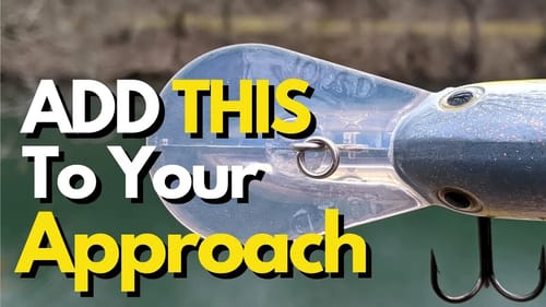 DO THIS When Crankbait Fishing