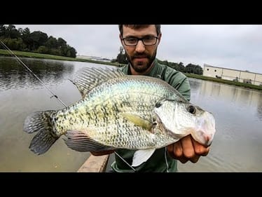 Catching HUGE CRAPPIE in a FOOT OF WATER!!