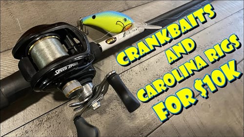 Deep Crankbaits and Carolina Rig Bass For BIG MONEY!