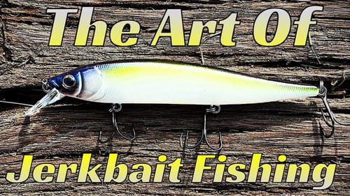 Fall Jerkbait Fishing Tips: How To Get The BEST Results With This Popular Bait