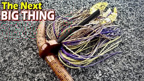 What's Coming In The Bait World