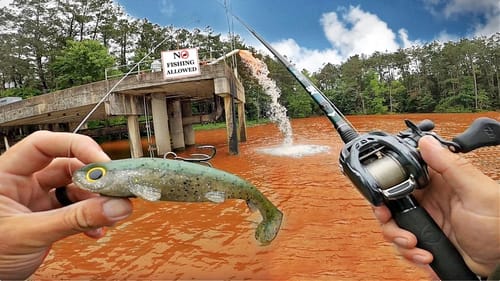 MASSIVE Catch of a Lifetime Fishing a NEW Lake! (EPIC)