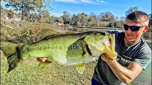 Catching MONSTER Bass In PONDS! (FISHING FAIL + GIANT BASS)