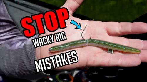 STOP!  DON'T Make These Beginner Mistakes with Wacky Rigs!