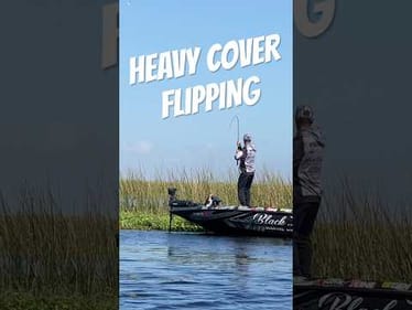 Heavy Cover Flipping MLF Lake Okeechobee #short #fishing #okeechobee
