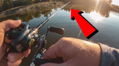 Summer Topwater Fishing