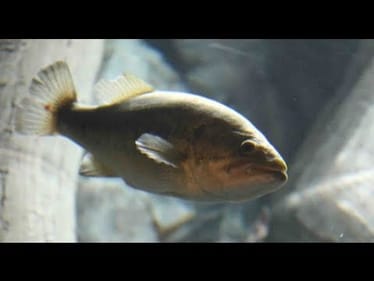 Spring Time Fishing: Tips for the thaw