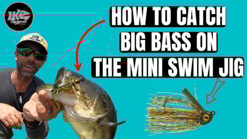 How to Catch Bass on The Mini Swim Jig!