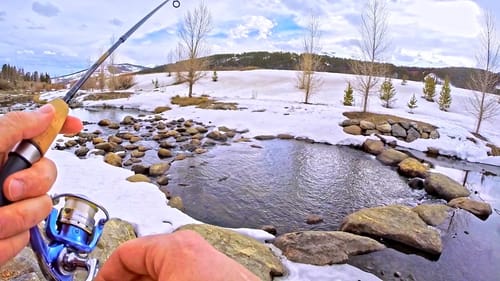 Urban Fishing a TINY RIVER!?