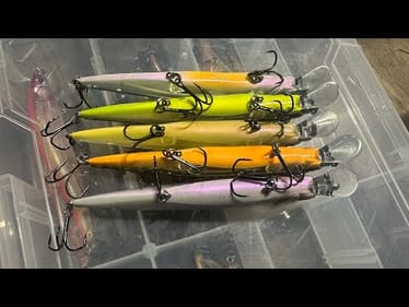 NEVER Use A Jerkbait With THIS Belly Color