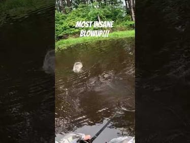 MOST INSANE FROG BLOWUP EVER!!!
