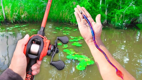 Fishing BIG Worms for GIANT Bass (Bank Fishing)