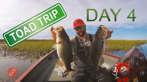 Toad Trips Okeechobee - Big Fish Day