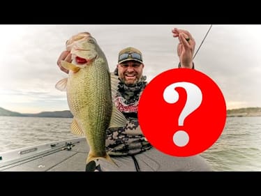 This Lure Can Save Your Day When Spring Bass Won't Bite!