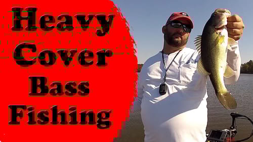 Fall Bass Fishing in the Bushes