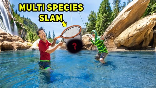 Fishing ULTRA CLEAR Mountain RIVER for MULTI SPECIES!