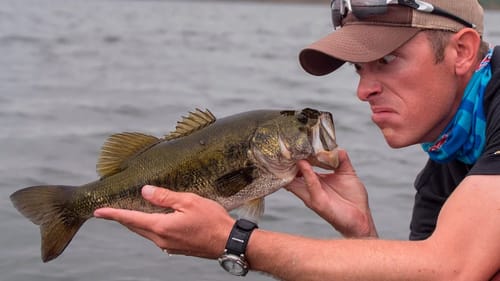 Hunting for Big Bass in Grass Jungle Lake ft. (1Rod1ReelFishing)