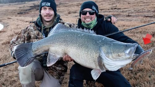 Monster Murray Cod Fishing Defiant 232 Swimbait