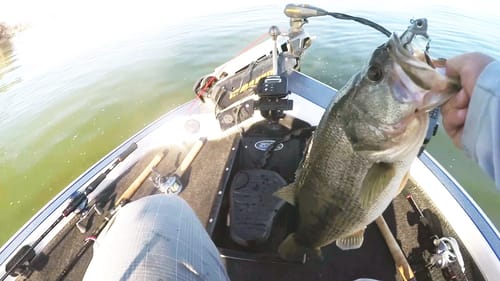 Catching Schooling Bass In Spring | Top 5 Baits
