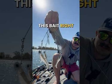 Fishing with the only bait BANNED in Major league fishing tournaments! #fishing #fishingvideos