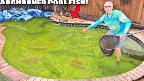 I Found a Abandoned Pool FILLED with AQUARIUM FISH!